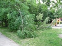 „Kauno centro būstas“ pataria: kaip apsaugoti savo namus siaučiant vėtrai?